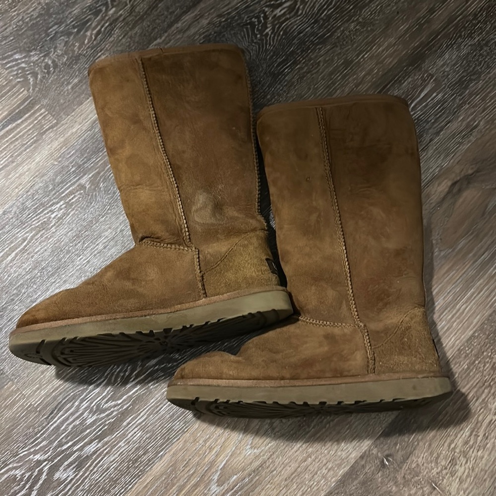 Tall chestnut uggs